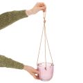 Pot de fleurs/lanterne suspendue en verre, violet/vert, 14 cm, lot de 2 | Floristik24.fr