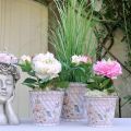 Floristik24 Pot de fleurs en métal roses décoration d&#39;été jardinière Ø13,5cm H11,5cm