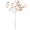 Branche décorative
