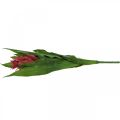 Floristik24 Broméliacées artificielles Rose Fleur artificielle à coller 54cm
