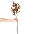 Kolistemon artificiel 20 cm avec feuilles rouges en plastique pour décoration intérieure | Floristik24.fr