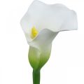 Floristik24 Artificielle Calla Blanc Décor De Mariage Fleur De Soie Anniversaire L72cm