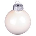 Boules de sapin de Noël boules de sapin en verre Berry Mix Ø5cm 24 pcs Berry rose beige crème brillant | Floristik24.fr