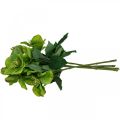Rose de Noël Rose de Carême Hellébore fleurs artificielles vert L34cm 4pcs
