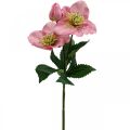 Rose de Noël, rose lenten, ellébore, plantes artificielles rose L34cm 4pcs