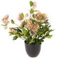 Floristik24 Plante artificielle Hellébore en pot - 50 cm - Décoration intérieure