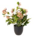 Plante artificielle Hellébore