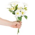 Kunstblume Hellebore blanche en bouquet, 36 cm | Floristik24.fr