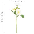 Kunstblume Hellebore blanche en bouquet, 36 cm | Floristik24.fr