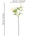 Kunstblume Chrysantheme crème blanche 56 cm 4 branches | Floristik24.fr