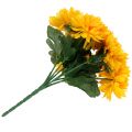 Floristik24 Chrysanthème jaune à 7 fleurs