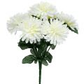 Floristik24 Chrysanthème blanc à 7 fleurs