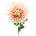 Floristik24 Branche de fleur de chrysanthème rose artificielle 64cm