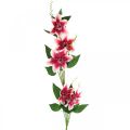 Floristik24 Branche de clématite à 5 fleurs, fleur artificielle, branche décorative rose, blanche L84cm