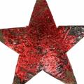 Floristik24 Etoile de coco rouge 5cm 50pcs Décoration de Noël étoiles décoratives