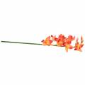 Floristik24 Orchidée fleur artificielle Cymbidium Orange 74cm