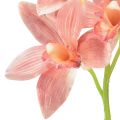 Floristik24 Orchidée cymbidium artificielle 5 fleurs pêche 65cm