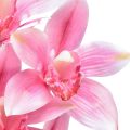 Floristik24 Orchidée Cymbidium artificielle 5 fleurs rose 65cm