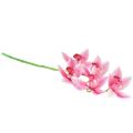 Floristik24 Orchidée Cymbidium artificielle 5 fleurs rose 65cm