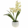 Orchidée Cymbidium Vert en pot Artificielle H46cm