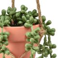 Floristik24 Plantes succulentes artificielles suspendues orpin serpent 34 cm