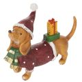 Floristik24 Figurine décorative teckel en polyresine avec manteau, bonnet et cadeau 18 cm