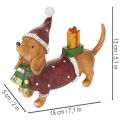 Figurine décorative teckel en polyresine avec manteau, bonnet et cadeau 18 cm | Floristik24.fr