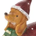 Figurine décorative teckel en polyresine avec manteau, bonnet et cadeau 18 cm | Floristik24.fr