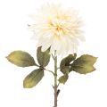 Floristik24 Fleur artificielle Dahlia crème blanche 68 cm
