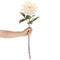 Fleur artificielle Dahlia crème blanche 68 cm | Floristik24.fr
