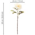 Fleur artificielle Dahlia crème blanche 68 cm | Floristik24.fr