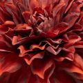 Dahlia artificielle rouge à longue tige 68 cm | Floristik24.fr