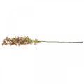 Floristik24 Branche décorative avec fleurs Branche Daphné rose artificielle 110cm 3pcs