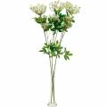 Floristik24 Carotte sauvage Fleur de prairie artificielle Fleurs artificielles 3pcs