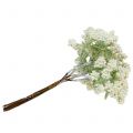 Floristik24 Branche de baies décoratives blanches 24 cm 5 p.