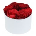 Floristik24 Boîte à fleurs Flowerbox blanche ronde Ø14cm - Ø16cm 2pcs