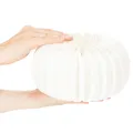 Citrouille en papier alvéolé blanche 24 cm, idéale pour compositions de fleurs séchées et déco d'automne, lot de 4 | Floristik24.fr