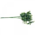 Floristik24 Branche d&#39;eucalyptus décorative Vert foncé Eucalyptus artificiel Plantes vertes artificielles 6pcs