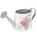 Floristik24 Arrosoir décoratif en métal, lavande, style rétro jardin, 30 × 11 × 14,5 cm