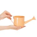 Ensemble d'arrosoirs décoratifs aux tons pastel saumon, vert et jaune-vert - pot en métal Ø11 cm H10 cm, 8 pièces | Floristik24.fr