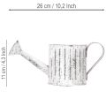 Arrosoir décoratif, jardinière, arrosoir pour plantation Ø10,5 cm | Floristik24.fr