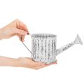 Arrosoir décoratif, jardinière, arrosoir pour plantation Ø10,5 cm | Floristik24.fr