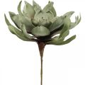 Floristik24 Déco fleur de lotus fleur de lotus artificielle fleur artificielle verte L70cm