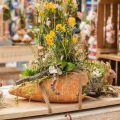 Floristik24 Carotte déco, décoration béton à planter, Pâques, cache-pot carotte, déco printemps L28cm