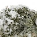 Floristik24 Mousse décorative grise recouverte de neige 500g