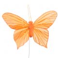Floristik24 Déco papillon orange 12pcs