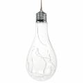 Floristik24 Lampe LED décorative à incandescence blanc chaud 20cm