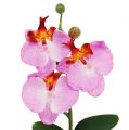 Orchidée décorative en pot rose H 29 cm