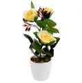 Floristik24 Rose décorative en pot jaune 23cm