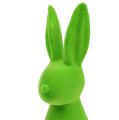 Floristik24 Déco lapins verts 30cm 2pcs